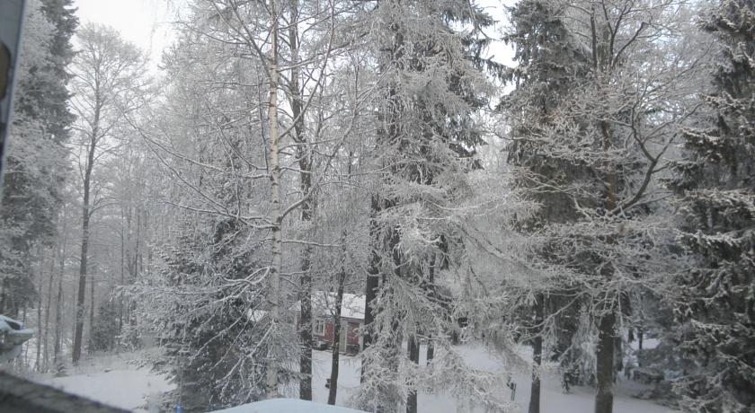 Bed and Breakfast Neitsytniemen Kartano Иматра Номер фото